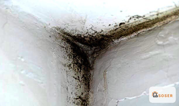 Muffa e infiltrazioni d'acqua nell'angolo tra parete e soffitto, danni da umidità