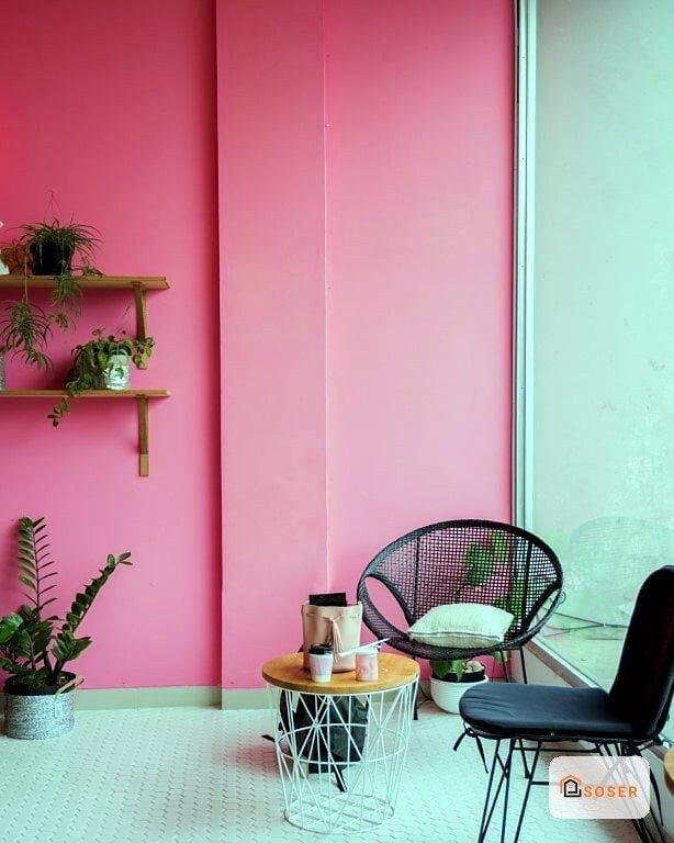 Parete divisoria in cartongesso rosa e azzurra con arredamento moderno e piante decorative